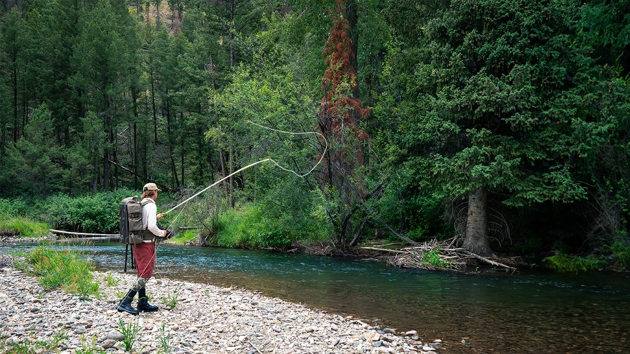 I Discovered A Secret World Full Of Trout