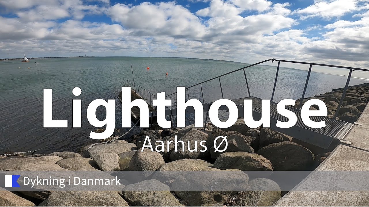 Dykning ved Lighthouse på Aarhus Ø