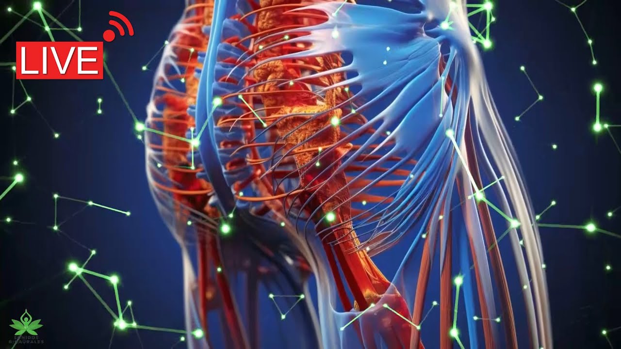 Frecuencia para Aliviar  Dolor  Cadera - Binaurales  Puros | Tratamiento Curativo Rife de 15 Minutos