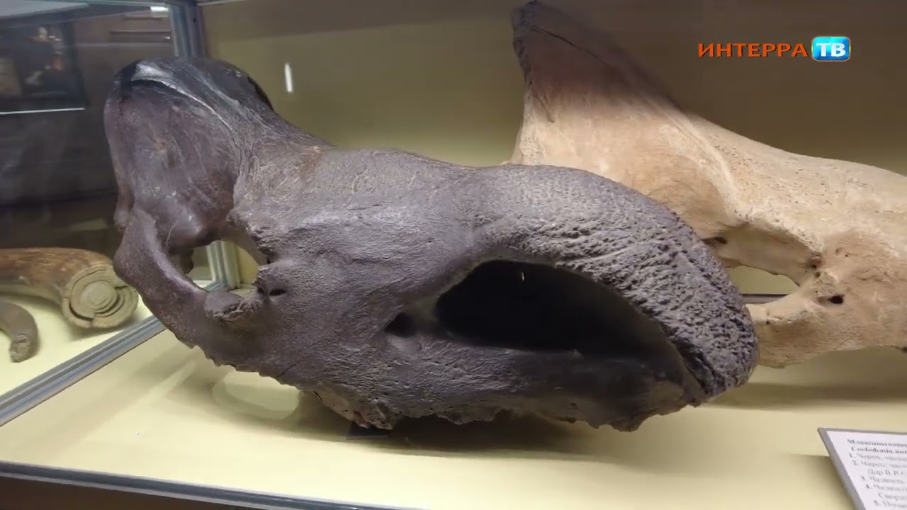 Экспедиция в Екатеринбург: не имей сто друзей, а имей свой музей