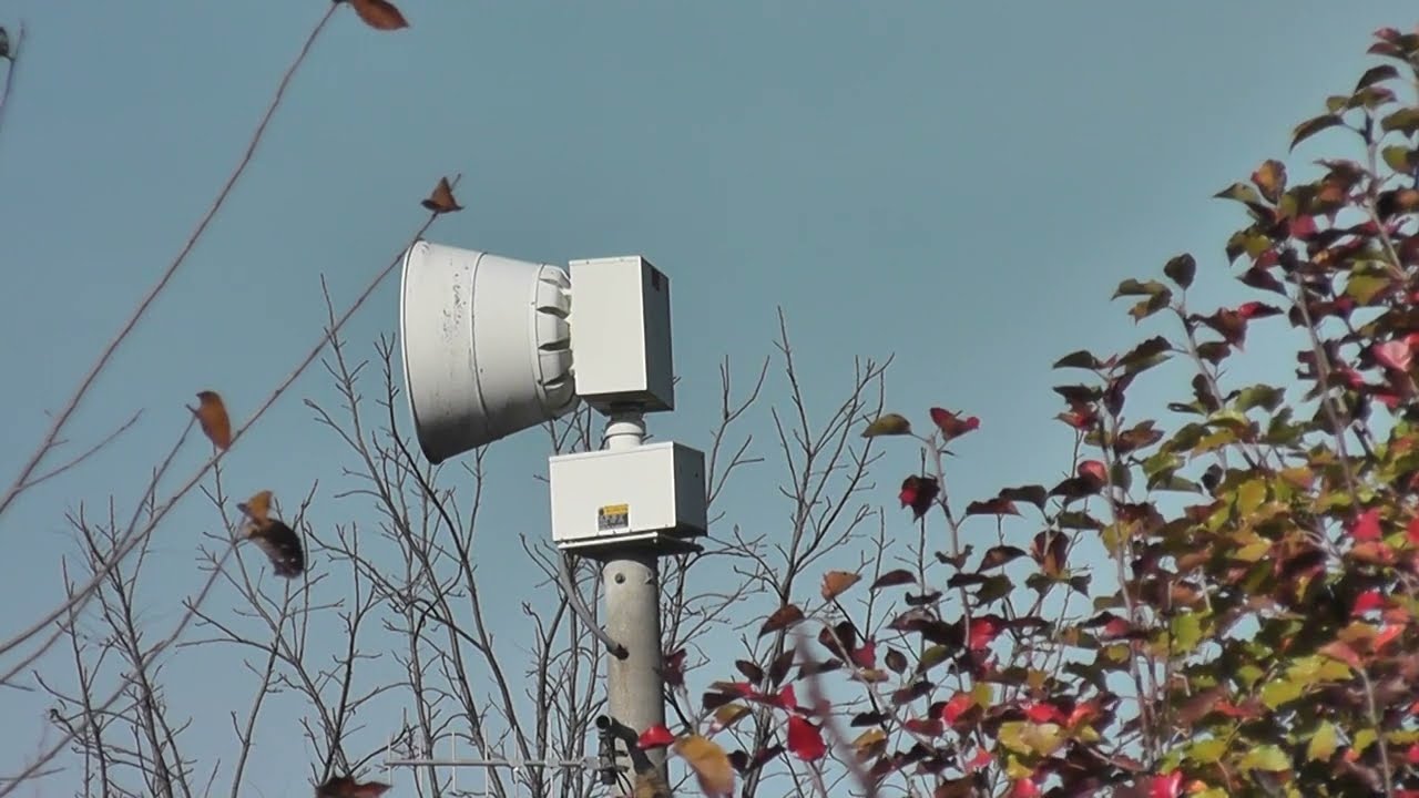 SJC Siren #8 Surprise