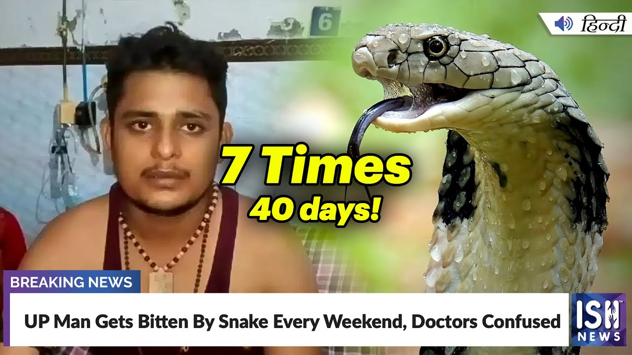 UP Man Gets Bitten By Snake Every Weekend, Doctors Confused | ISH News