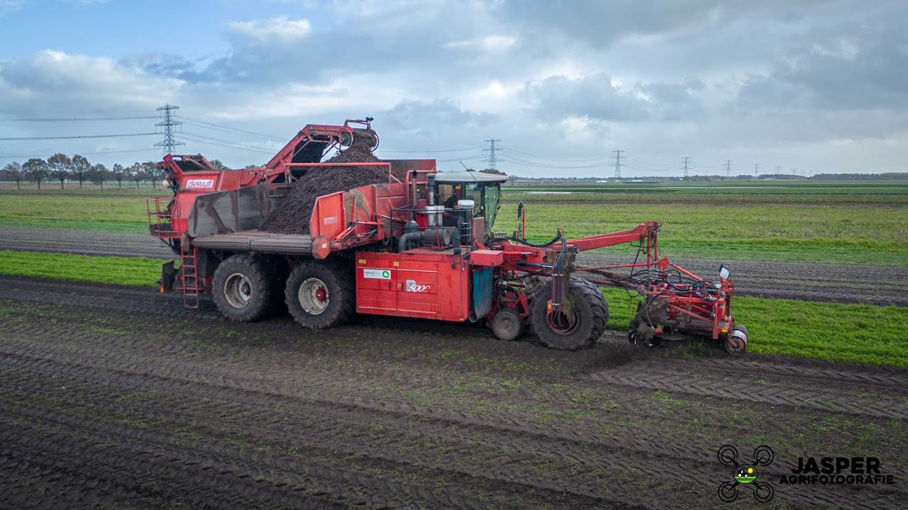 Wortels Rooien | Dewulf 5 Wieler