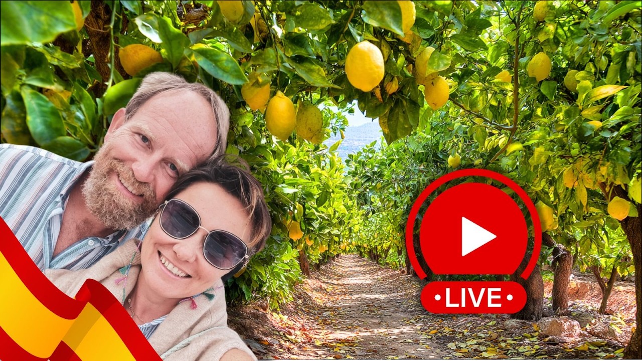 Niedzielna kawka z Hiszpańskimi Cytrynami LIVE