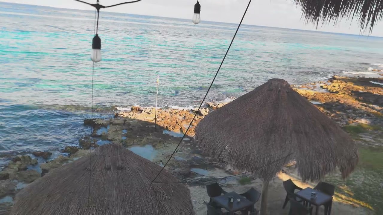 Cozumel hermosa vista desde restaurantes a la orilla del mar desayunas por $200 