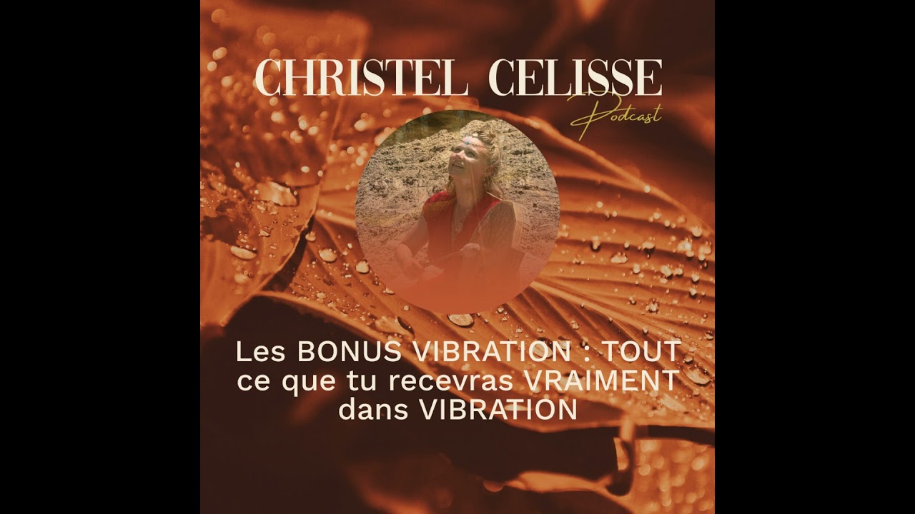 Les BONUS VIBRATION : TOUT ce que tu recevras VRAIMENT dans VIBRATION