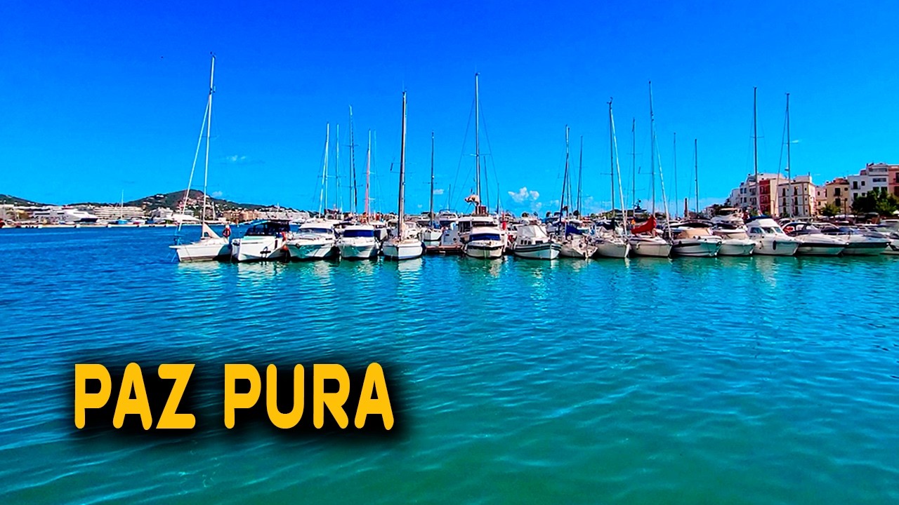Ibiza Harbor Vibes  | Pure Mediterranean Sailing Vibes