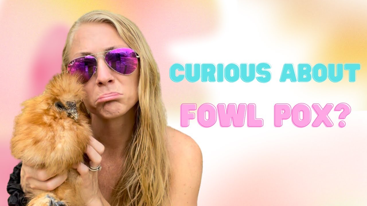 All You Need To Know About Fowl Pox in Chickens