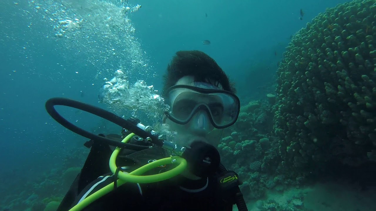 Diving Aqaba