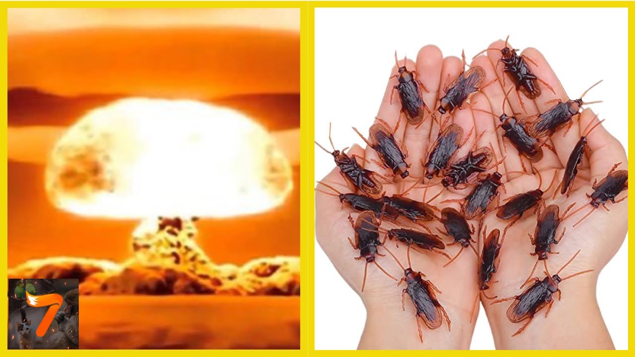 7 Tiere die ALLES ÜBERLEBEN