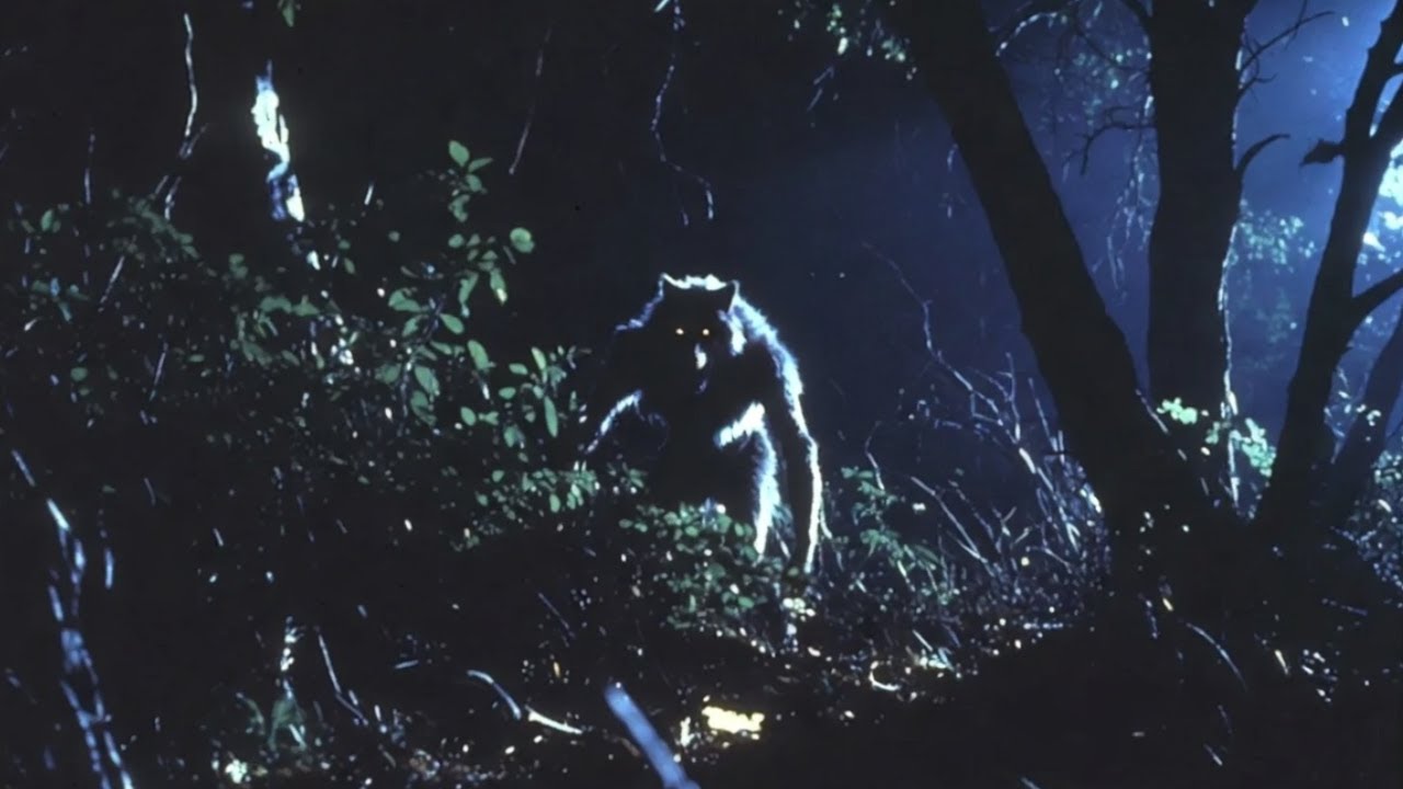 A MALDIÇÃO DO LOBISOMEM DE JACAREZINHO - PARANÁ