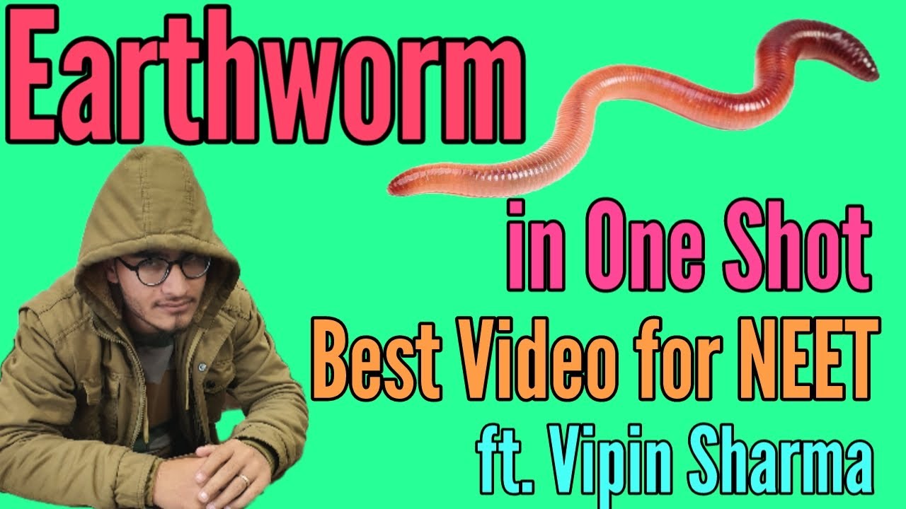 Earthworm in One Shot for NEET | Must Watch | Question is Asked in Abhayas App and NEET Past Year