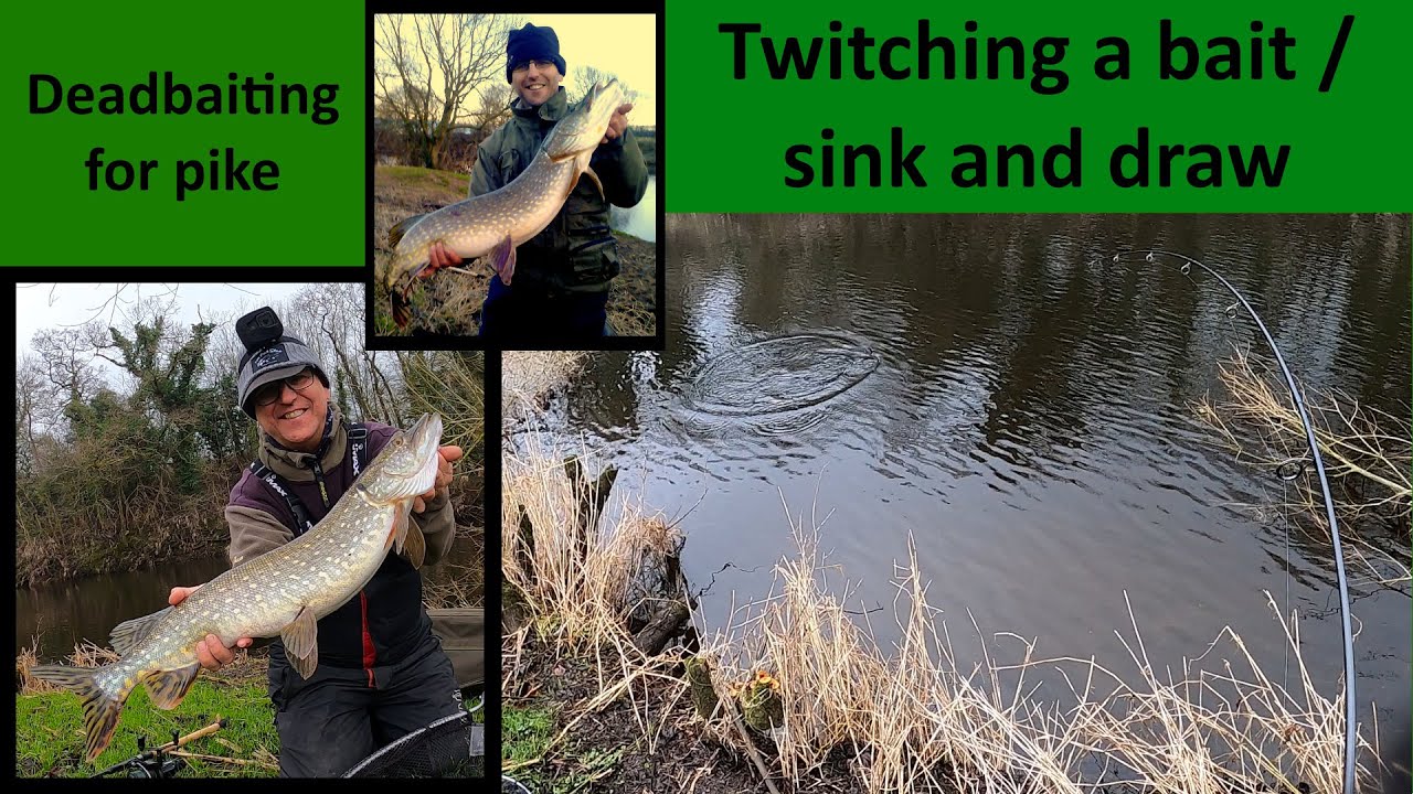 Deadbaiting for pike