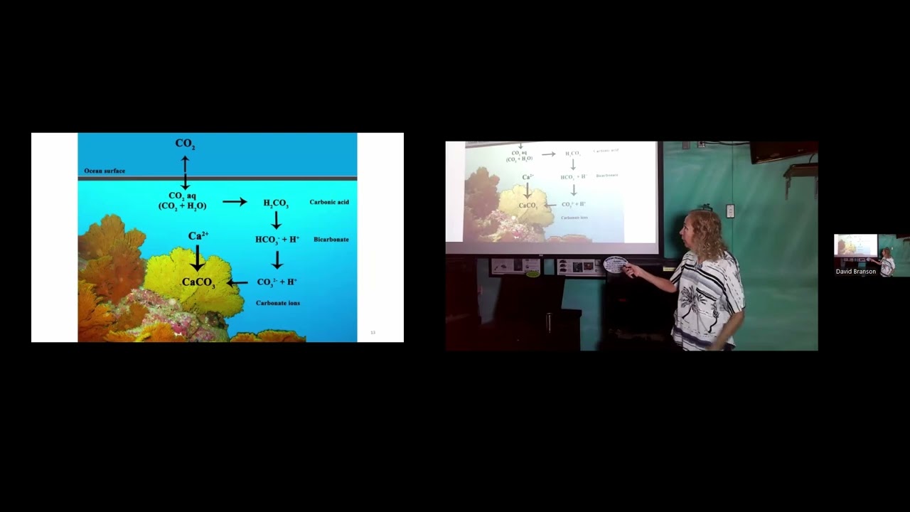 Marine Chemical Ecology in Our Changing Ocean with Dr. Valerie Paul, Smithsonian Marine Station