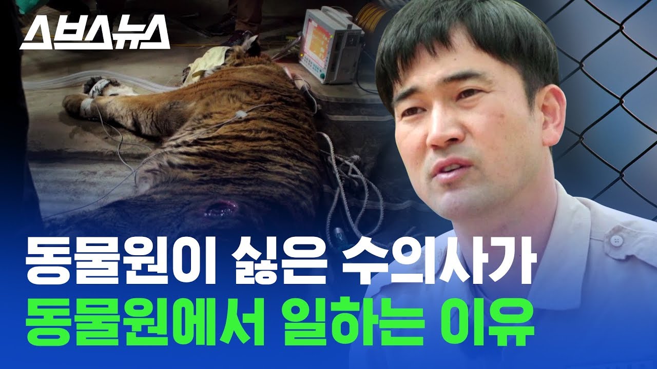 동물원을 반대하는 수의사가 동물원에서 일하는 이유 / 스브스뉴스