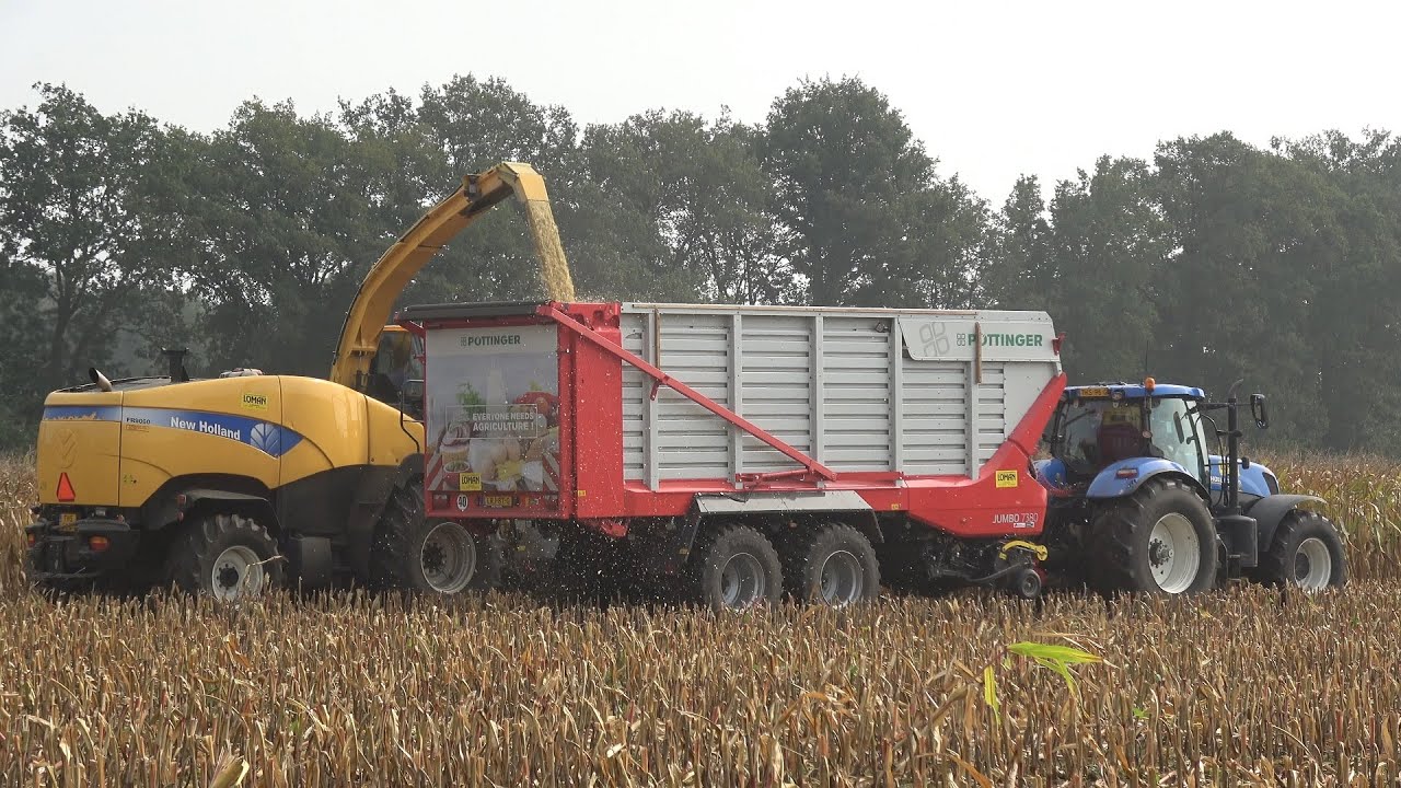 Mais hakselen door loonbedrijf Loman met New Holland FR9060 (2024)