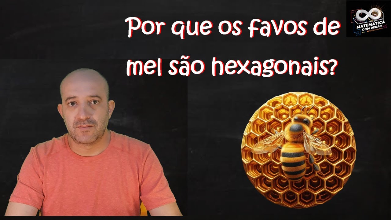 Matemática das Abelhas Geômetras - Professor Denis Rocha - Maravilhas da Matemática - Malba Tahan