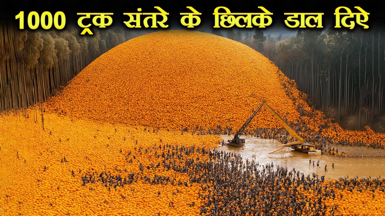 एक पागलपन भरा कदम और पूरा जंगल बदल गया | Costa Rica Dumped 1000 Truck of Orange Peels in a Field