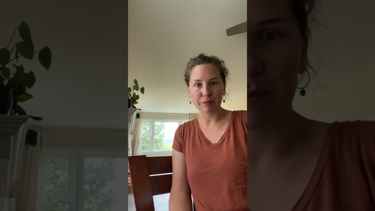 [Part 1] I quit homeschooling to be a better mother