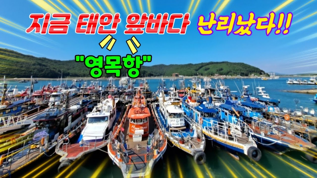 소문대로 가장 핫한 이곳은 정말 엄청났습니다 영목항앞바다