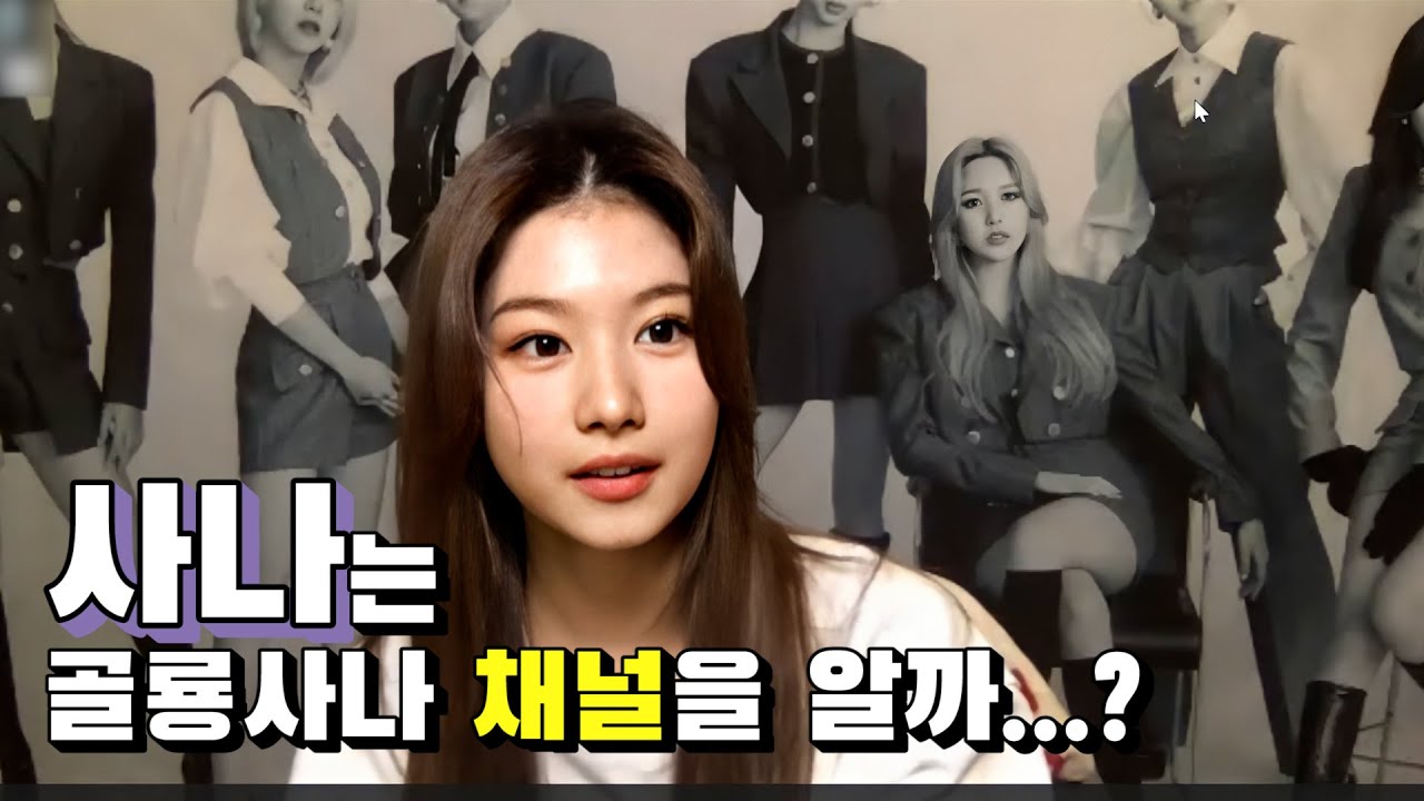 [TWICE] 과연 사나는 골룡사나 채널을 알까...???(*영통팬싸*) video call