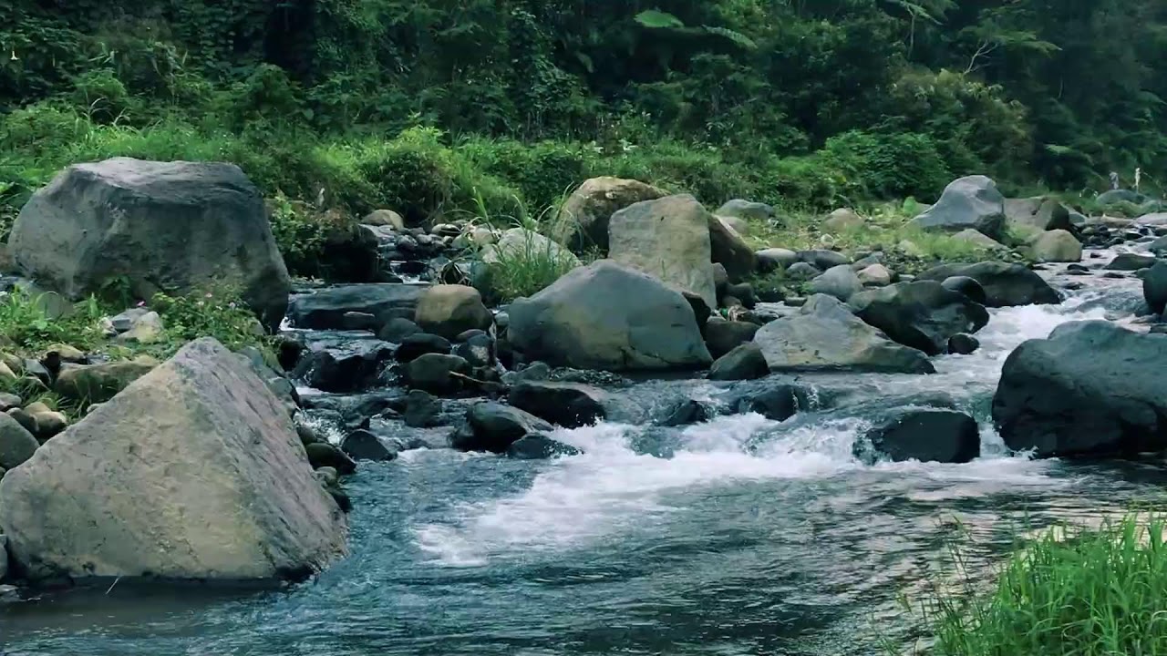 Serene Wilderness Water White Noise | For Learning, Mental Healing & Restful Sleep