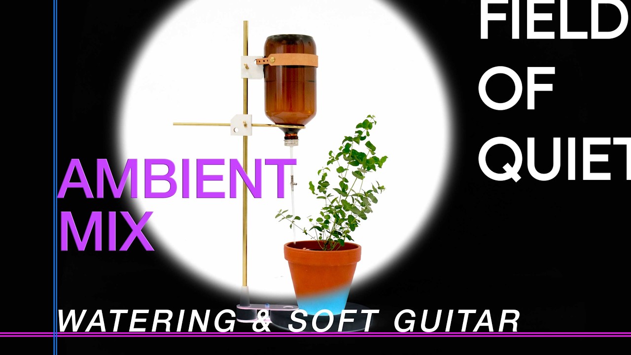 Warm Guitar Music while Watering Plant  — Relaxing Ambient Sound & ASMR | Field of Quiet