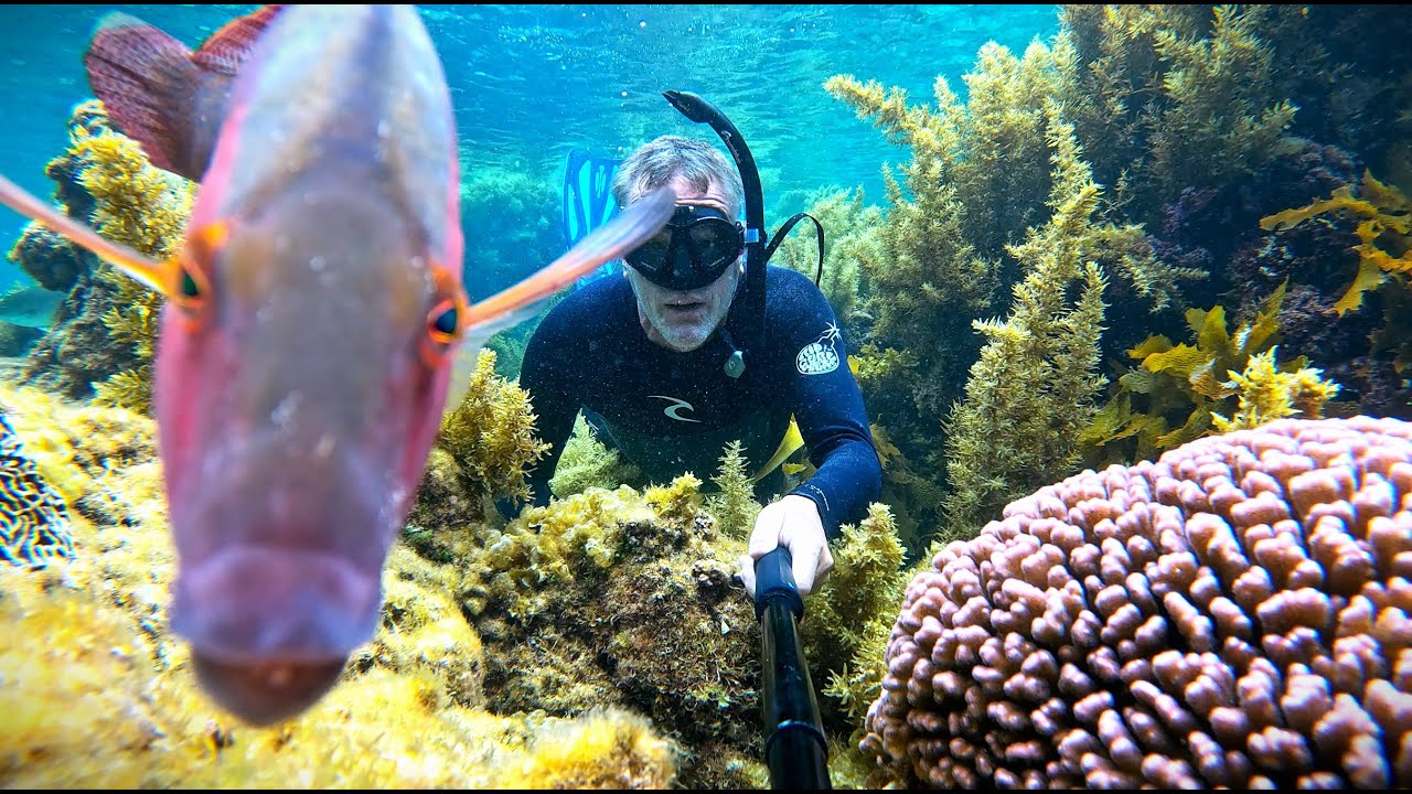 Island Adventure: Snorkeling and Hidden Gems by Bike on Rottnest! 🚴🏝️ #ExploreWithMe
