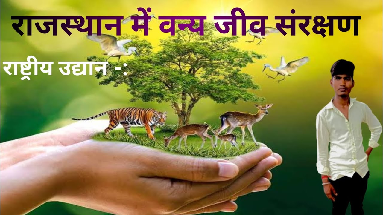 राजस्थान में वन्य जीव संरक्षण राष्ट्रीय उद्यान#rajasthangk #rajasthanklasanskrti #popular 