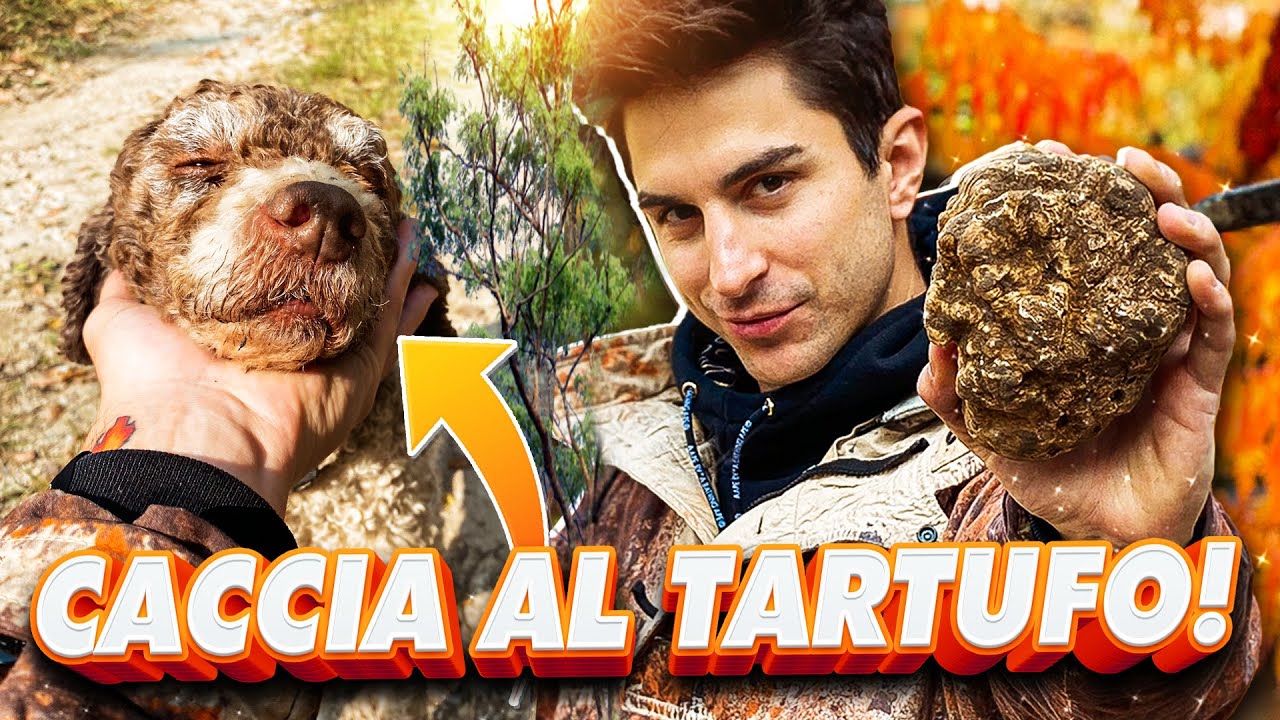 VADO A CACCIA NEI BOSCHI CON I CANI DA TARTUFO!!