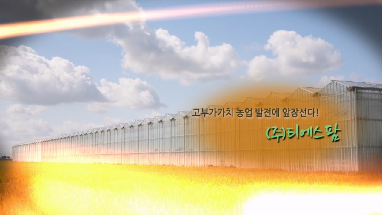 티엔에스팜 : 설계•시공 유리온실 전문업체
