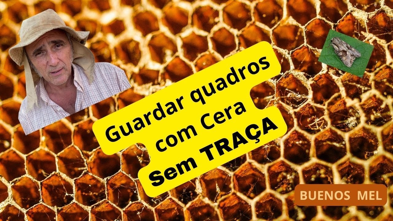 28 Como GUARDAR QUADROS COM CERA   -    SEM TRAÇA,                            de um ano para o outro