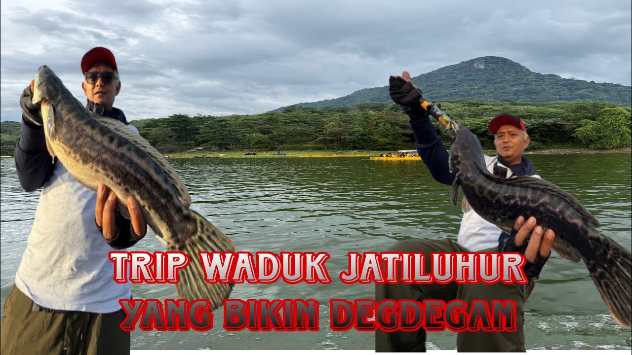 EKSPEDISI CASTING TOMAN DI NEGERI BENDUNGAN JATILUHUR 🔥🔥