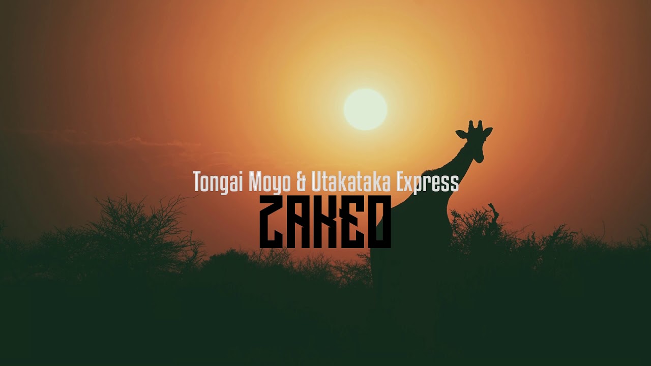 Tongai Moyo - Zakeo