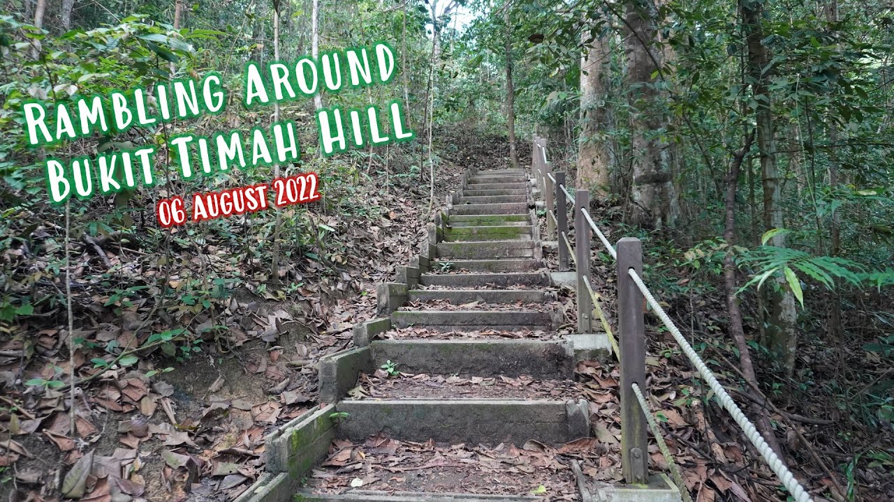 06.08.2022  Training Walk Around Dairy Farm & Bukit Timah Nature Reserve