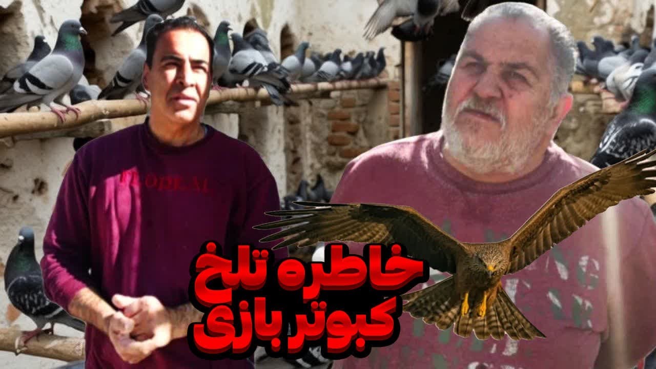 خاطره ای که نباید زنده می‌شد کبوتر بازی یا یک راز ؟