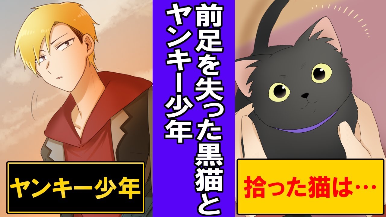 【漫画】「前足を失った黒猫とヤンキー少年」