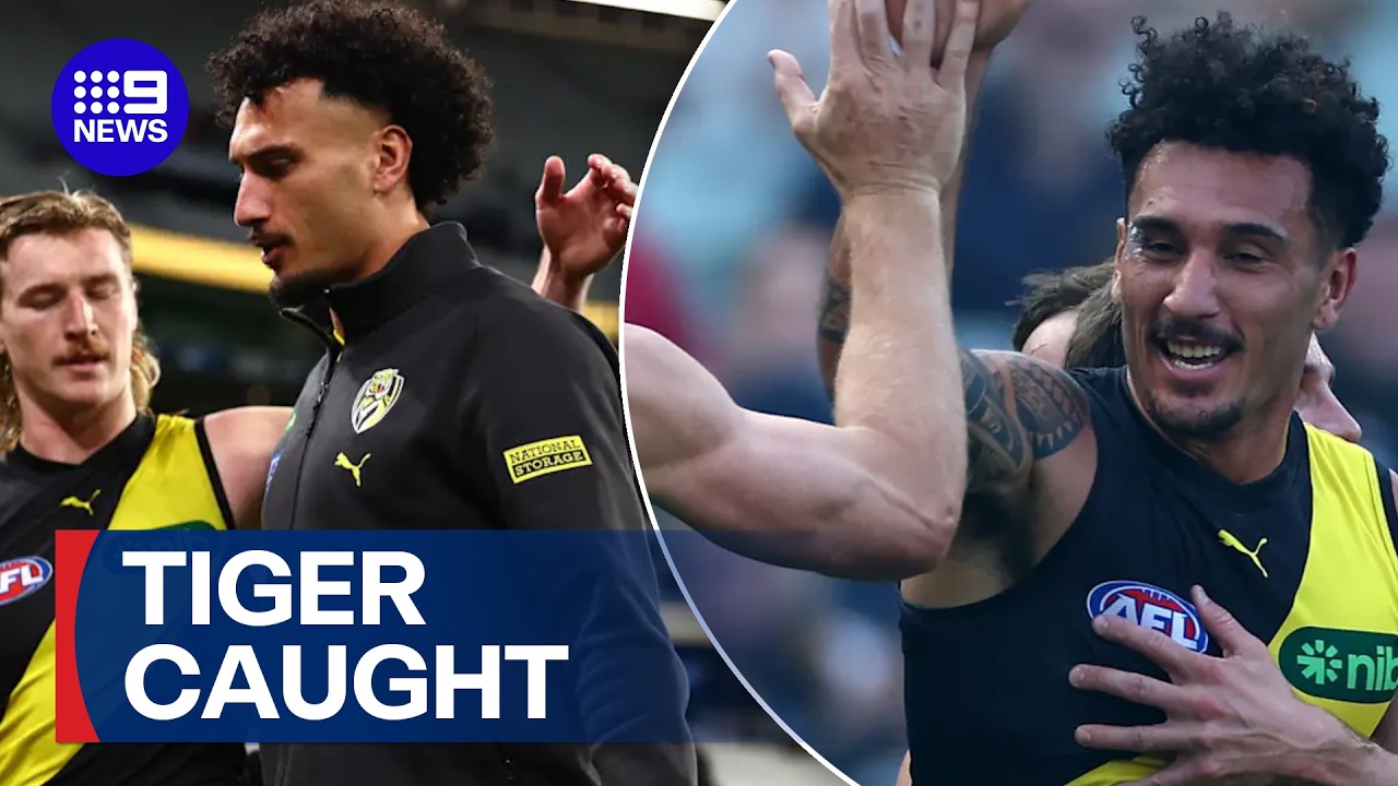 Tiger suspended after drink driving offence | 9 News Australia