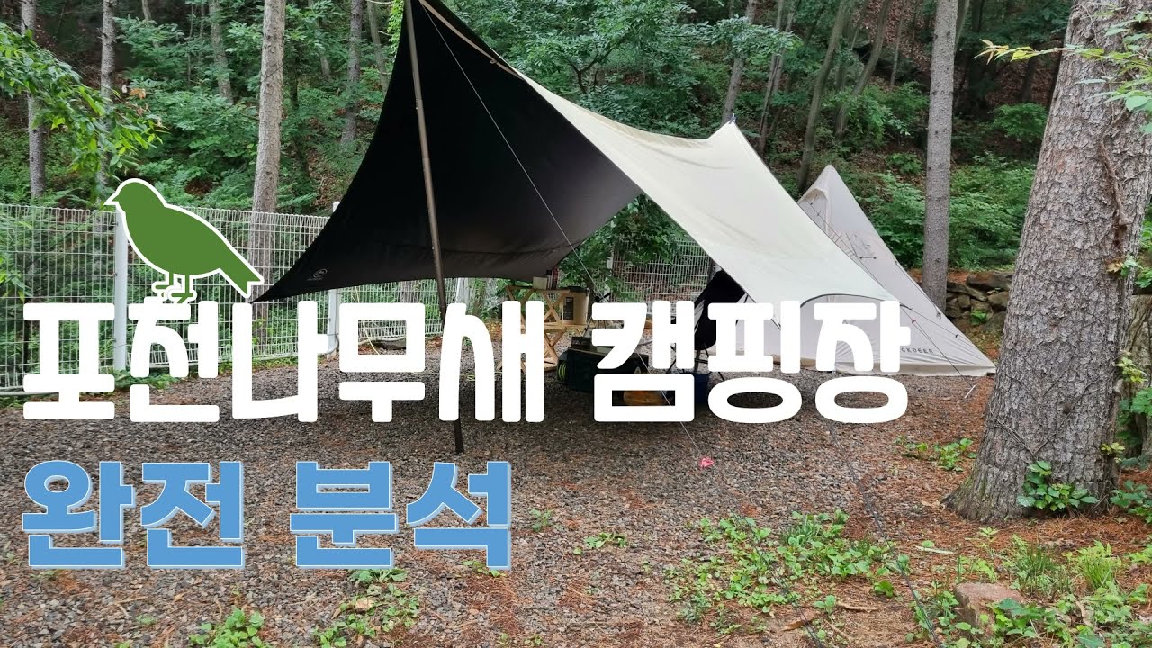 포천나무새캠핑장 자리정보 완전 분석!!!