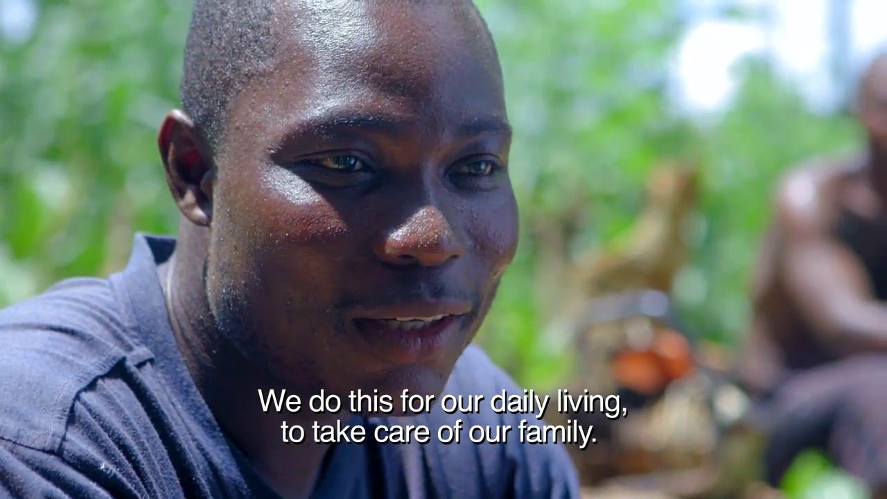 ATEWA FOREST: LIVING WATER FROM THE MOUNTAIN