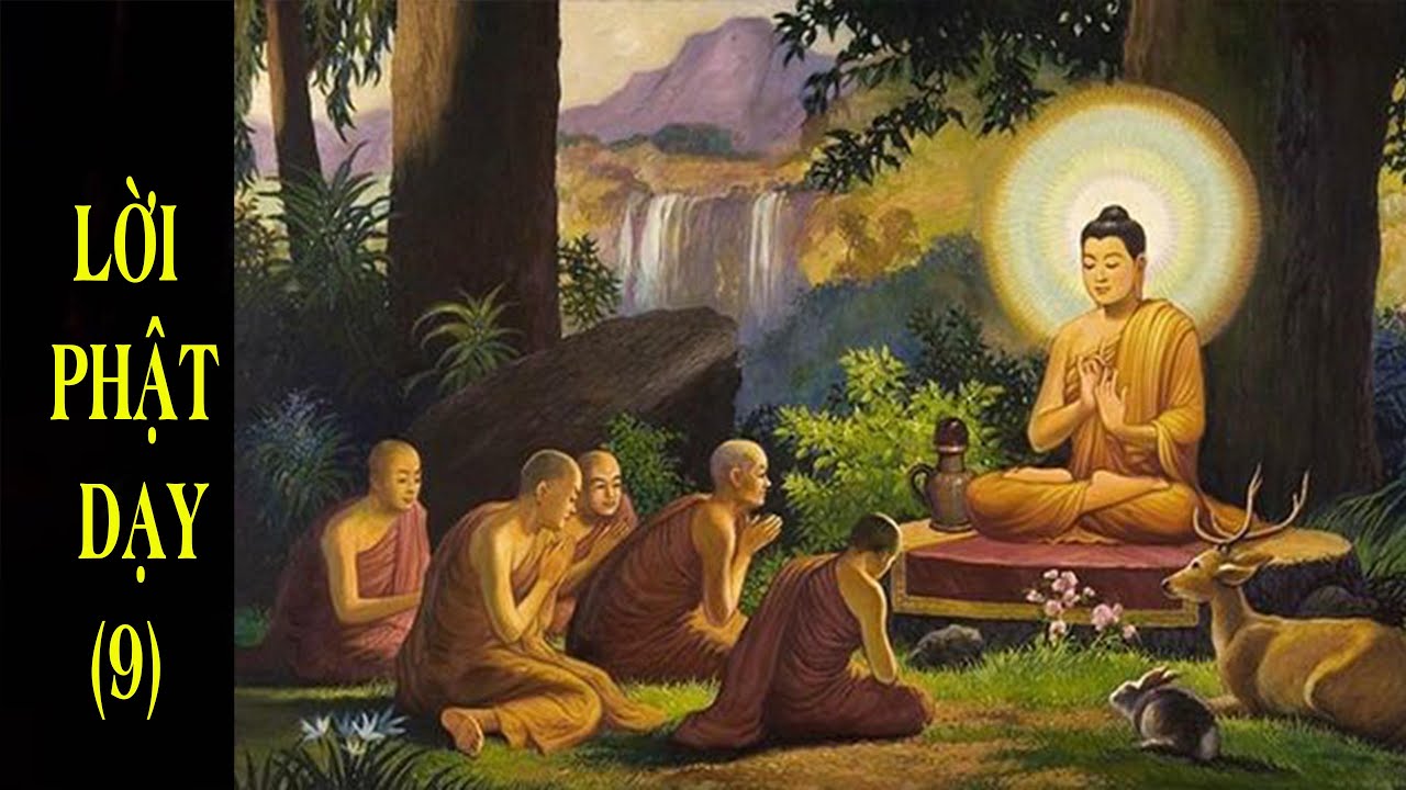 LỜI PHẬT DẠY (9) PHÁP NHÃN THANH TỊNH - Biên soạn: Thích Tánh Trí