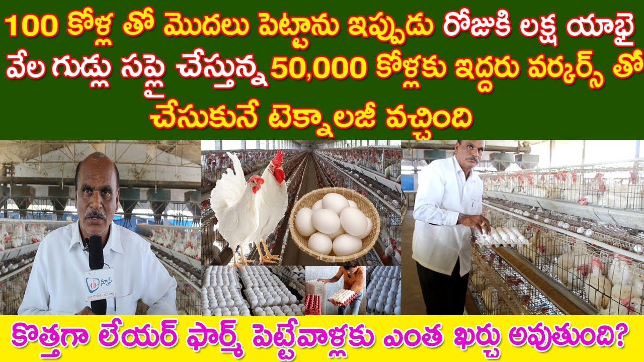 100 కోళ్ల తో మొదలుపెట్టి ఇప్పుడు రోజుకి లక్షయాభై వేల గుడ్లు సప్లై|కొత్తగా లేయర్ ఫార్మ్ కు ఎంత ఖర్చు?