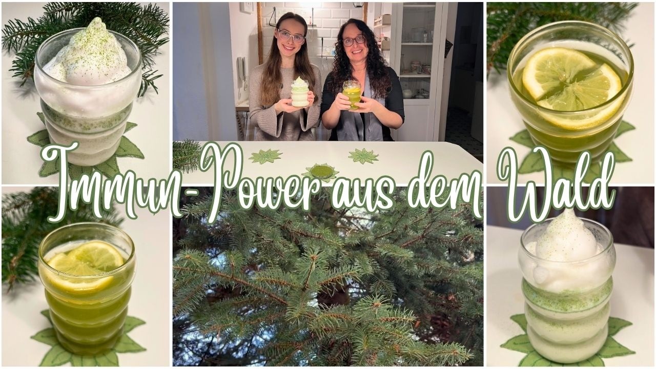 Vergiss Kaffee! 🌲 Wald-Matcha (Tatcha) & Tannen-Tee DIY: Das koffeinfreie Superfood selber machen