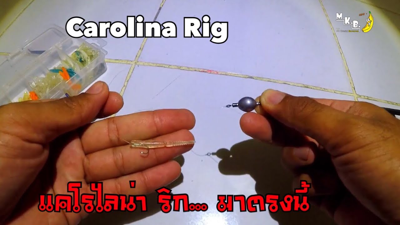 ตก อาจิ แคโรไลน่าริก? Carolina rig ? คำถามพบบ่อย มือใหม่ การผูก