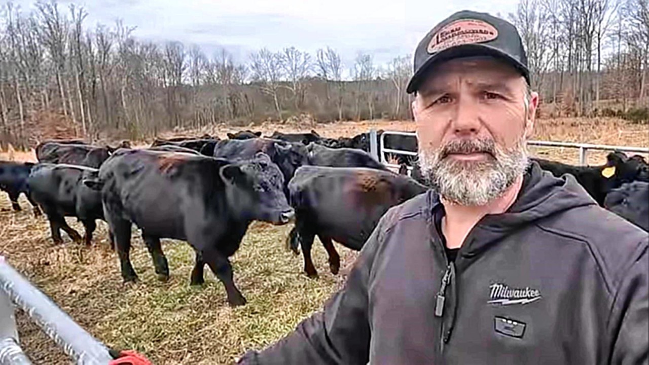 America First? Farmers on Welfare? Rancher talks about Failing Farm Struggles