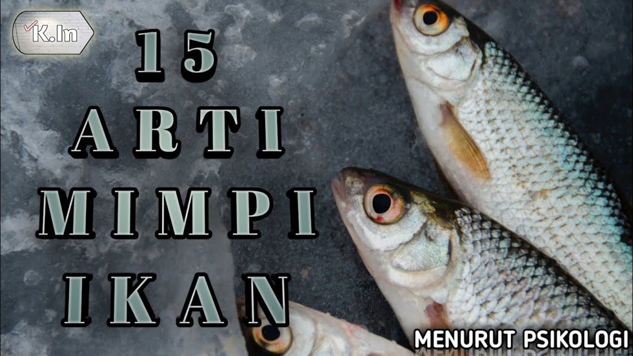 15 ARTI MIMPI IKAN | MENURUT PSIKOLOGI❗APA MAKNANYA ?