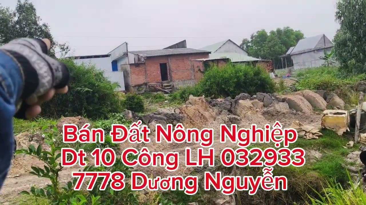 Nhà Đất Bán Đất Nông Nghiệp Dt 10 Công Giá 160tr Công/1000m2 Tân Thạnh Long An Cũ Tây Ninh Mới 