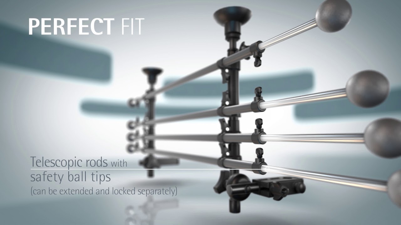 Kleinmetall dog guard Roadmaster 2020