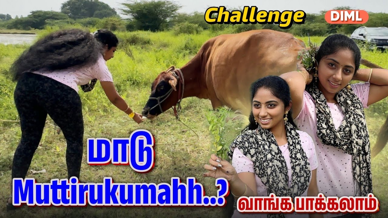 மாடு Muttirukumahh..?🤔😉|| வாங்க பாக்கலாம்||DIML|| @SharmysVlogs #subscribe #diml  #lovelonghairs