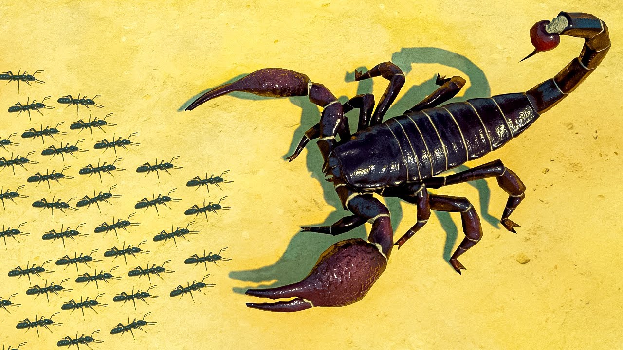 NEW Necromancer Ants vs Giant EMPEROR SCORPION in Empires of the Undergrowth!